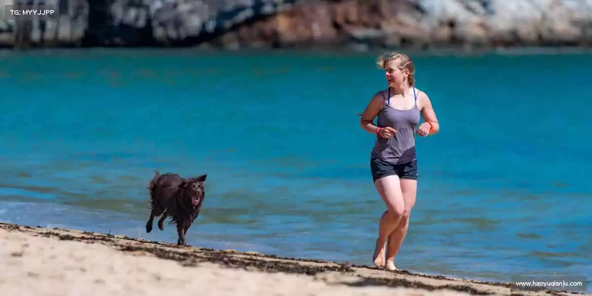 用热爱驱动引擎，用匠心打磨细节！